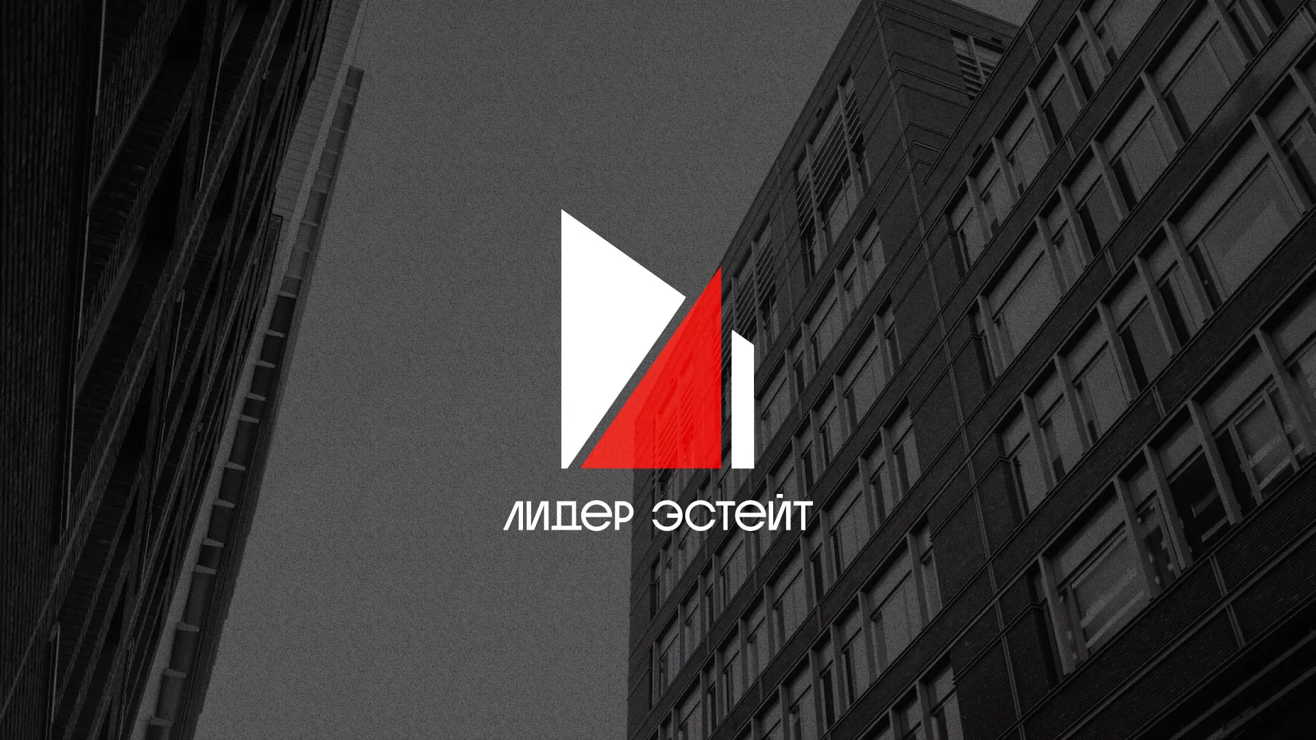Сделали логотип для агентства недвижимости «Лидер Эстейт» в Вуктыле